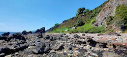 Fotografie cu Macfarquhar's Bed Beach zonă sălbatică