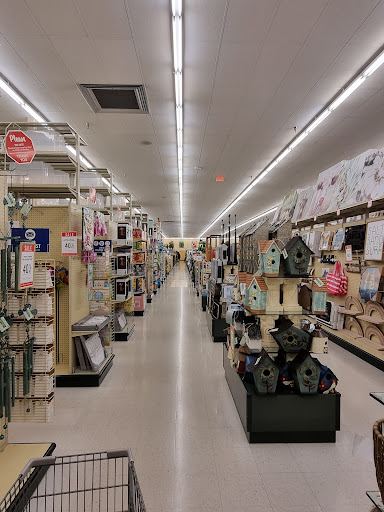 Craft Store «Hobby Lobby», reviews and photos, 3555 W Hillsboro Blvd, Deerfield Beach, FL 33442, USA