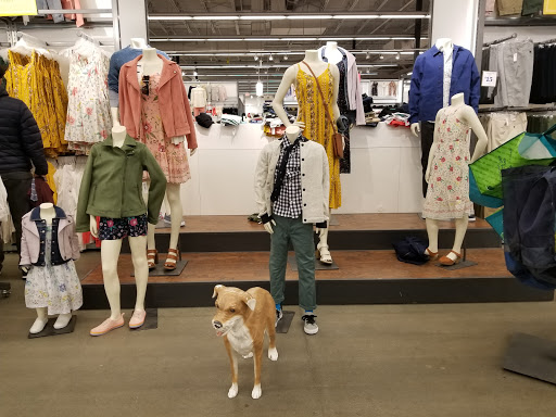 Clothing Store «Old Navy», reviews and photos, 90 Pleasant Valley St, Methuen, MA 01844, USA