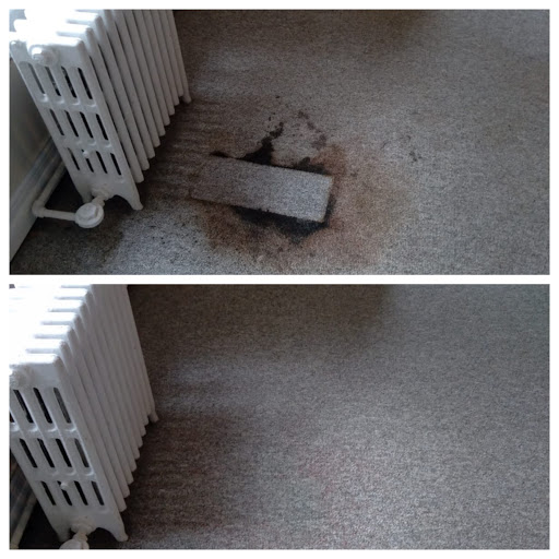 Carpet Cleaning Service «Indy Carpet Cleaning», reviews and photos, 5541 Guilford Ave, Indianapolis, IN 46220, USA