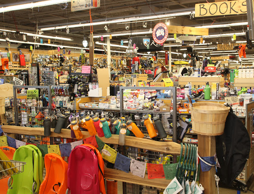 Outdoor Sports Store «Outdoor Gear Exchange», reviews and photos, 37 Church St, Burlington, VT 05401, USA