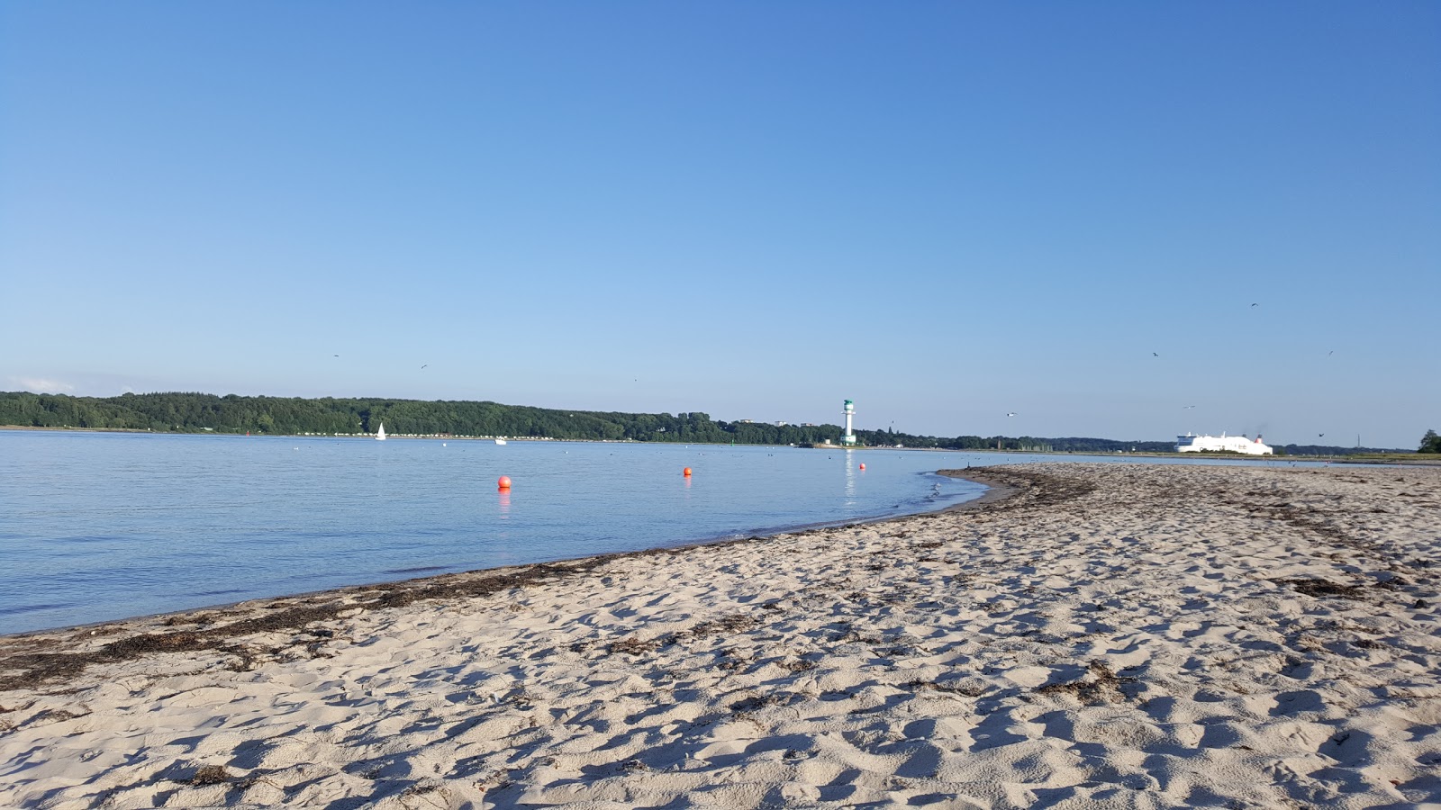 Photo of Falckensteiner Beach with very clean level of cleanliness
