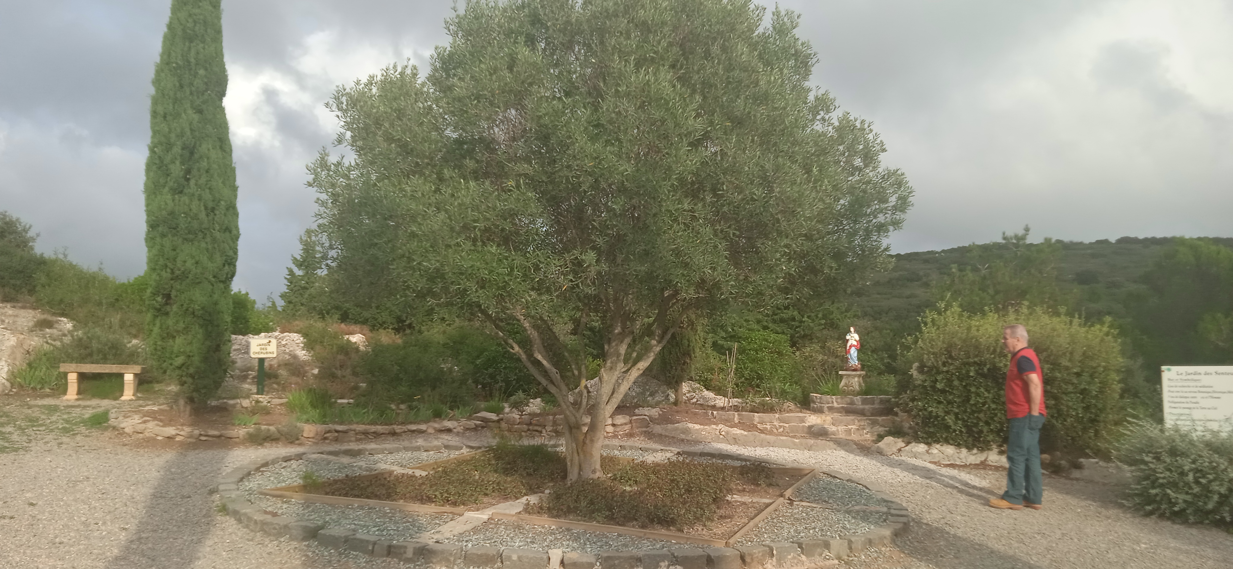 Photo n° 6 de l'avis de cebora.E fait le 30/10/2022 à 15:23