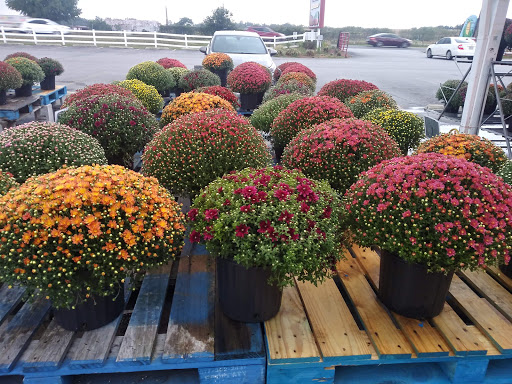 Produce Market «Miller Farms», reviews and photos, 10140 Piscataway Rd, Clinton, MD 20735, USA