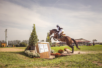 Institut Equestre National Avenches, IENA Sàrl