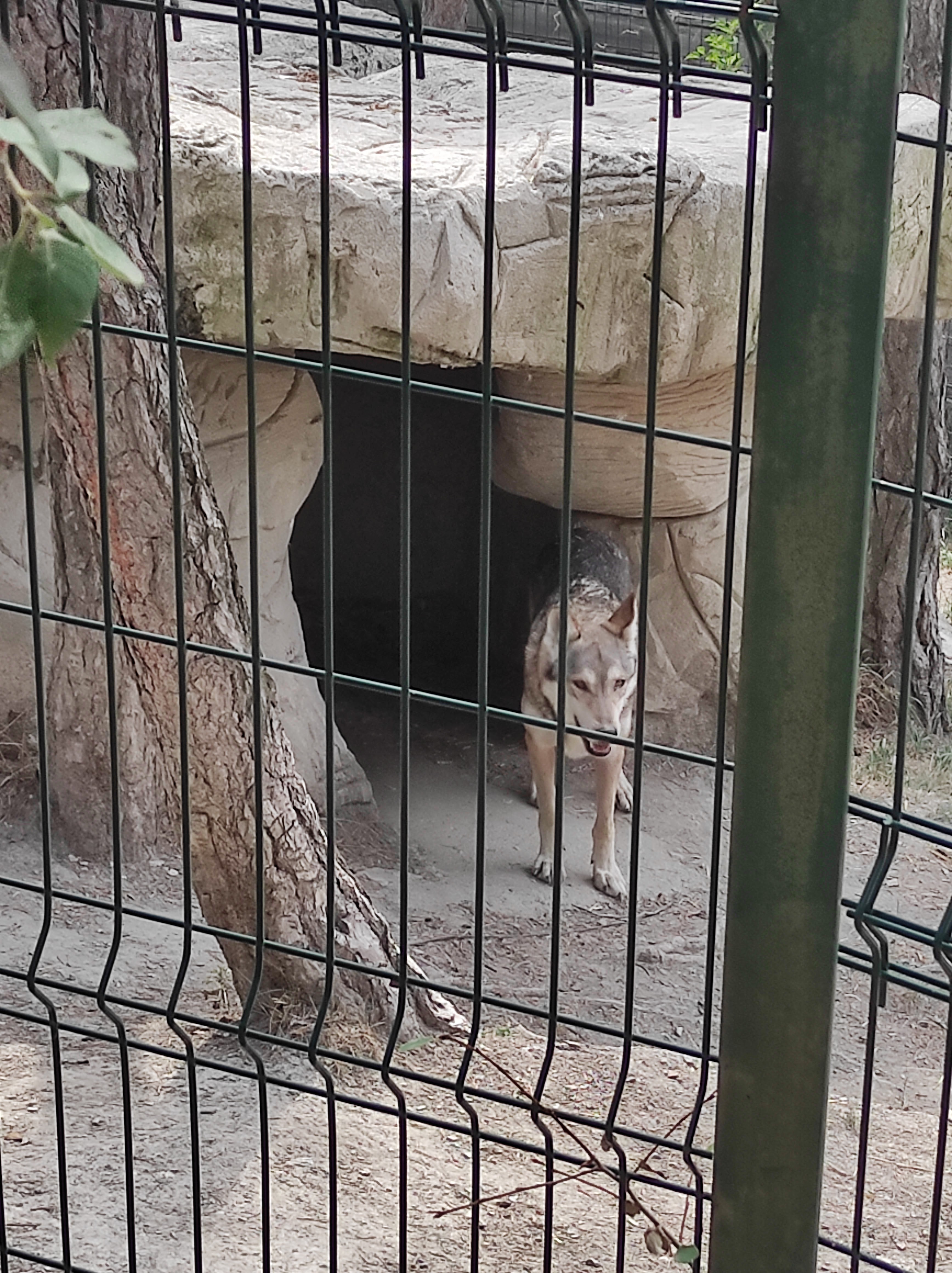 Photo n° 5 de l'avis de Evelyne.e fait le 29/07/2022 à 14:49