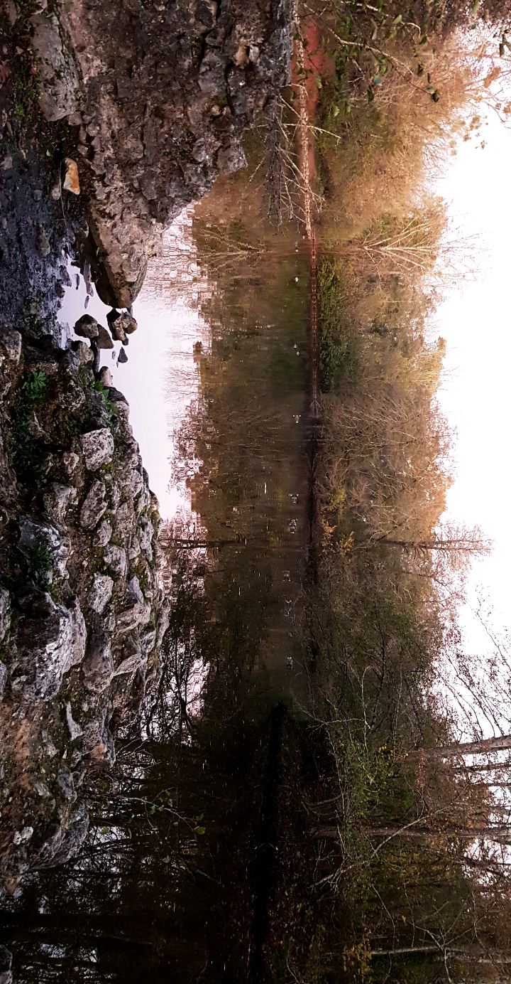 Photo n° 5 de l'avis de Julie.a fait le 17/11/2020 à 17:28