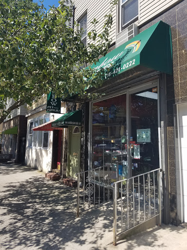 Pet Store «Rainbow Pet Supplies», reviews and photos, 3940 58th St, Woodside, NY 11377, USA