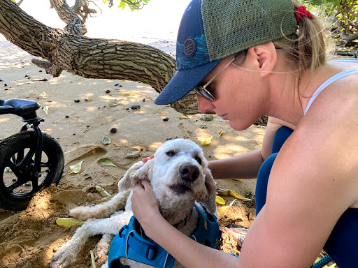 Kapaa Animal Clinic image