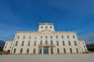 Esterházy-kastély, Francia park image