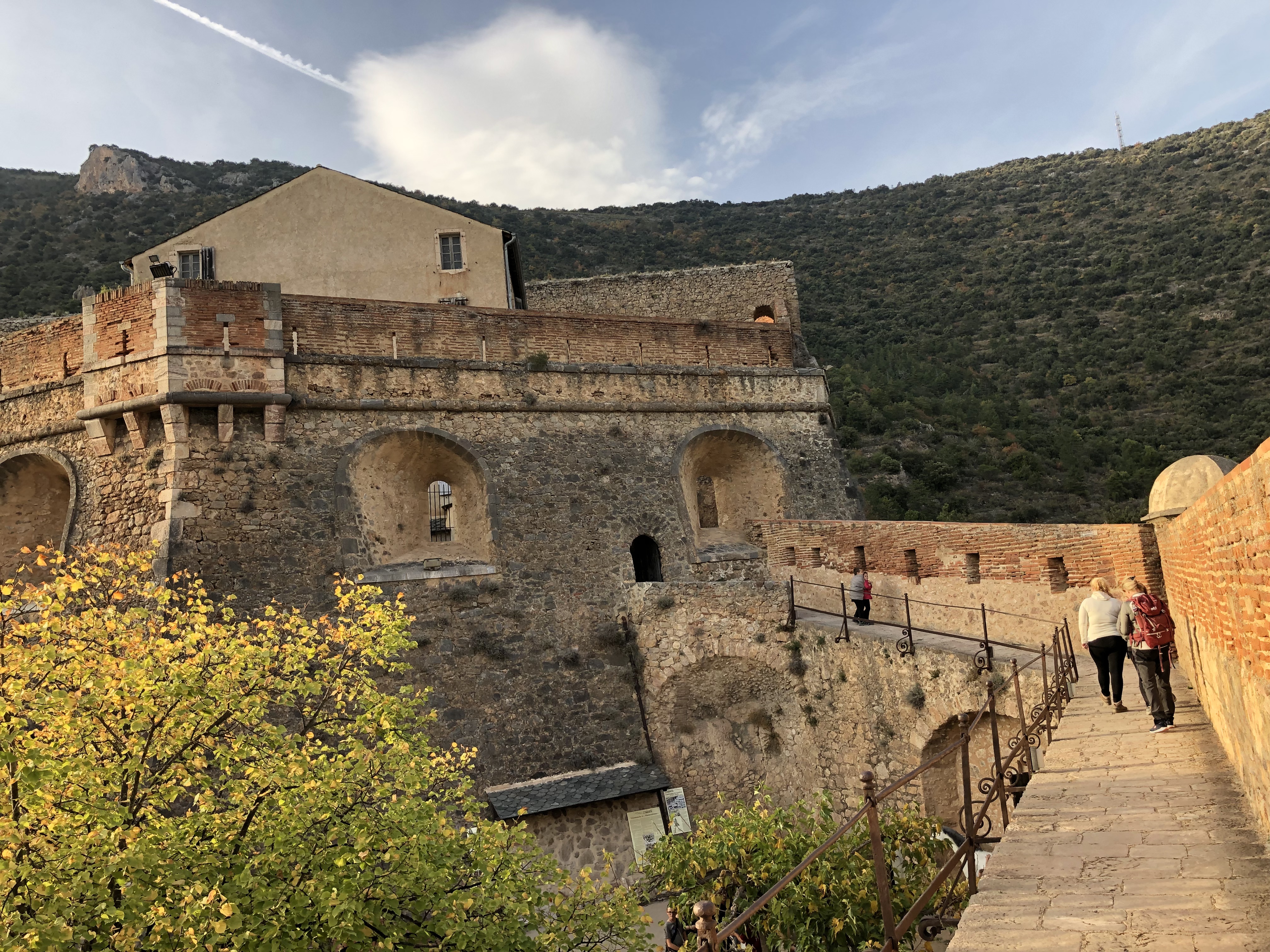 Photo n° 4 de l'avis de Marc.e fait le 02/11/2022 à 17:36