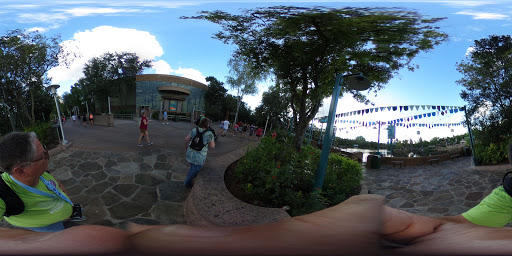 Tourist Attraction «Finding Nemo - The Musical», reviews and photos, Dinoland U.S.A., Kissimmee, FL 34747, USA