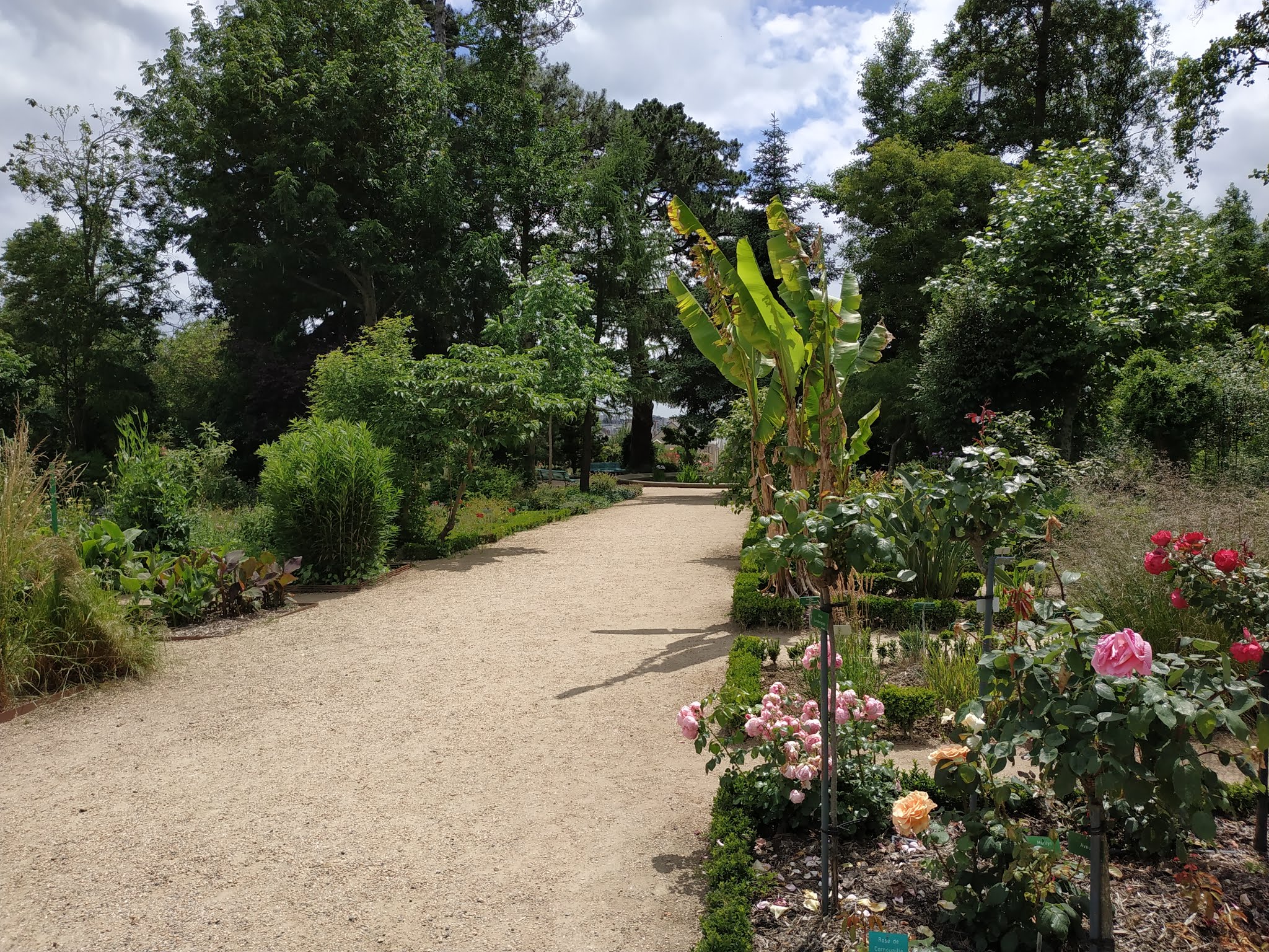 Photo n° 1 de l'avis de Noalig.o fait le 19/06/2019 à 06:17