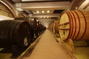 M-Wines.be wijn Brugge image