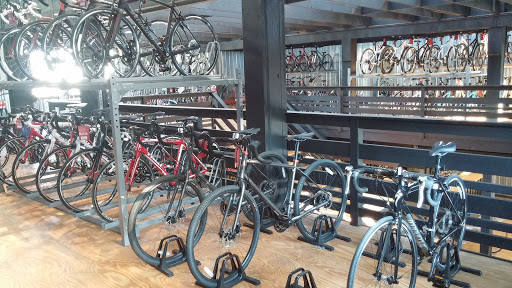 Bicycle Store «Broadway Bicycle Co.», reviews and photos, 1205 Broadway, Albany, NY 12204, USA