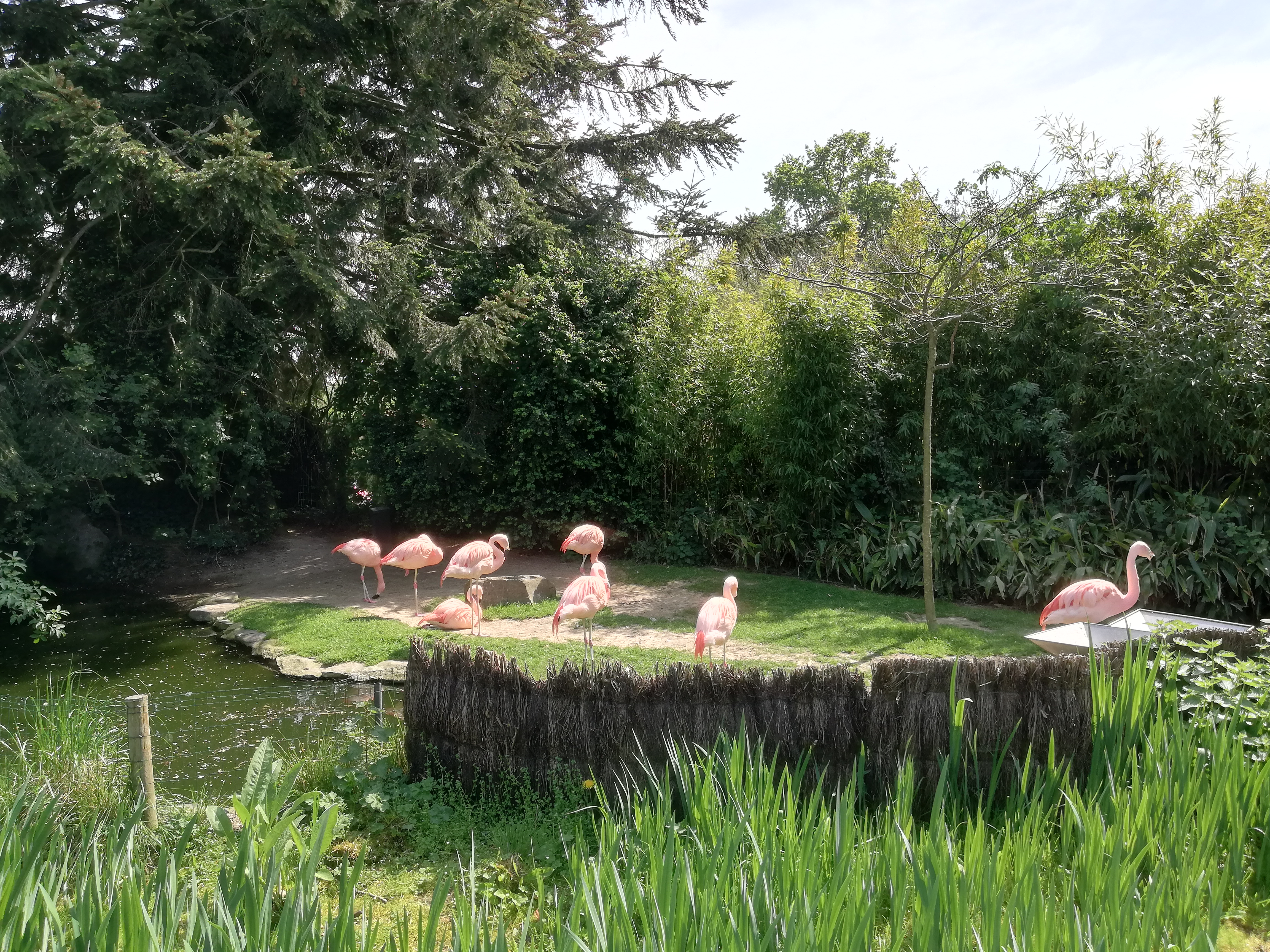 Photo n° 10 de l'avis de Jérôme.z fait le 21/04/2019 à 16:31