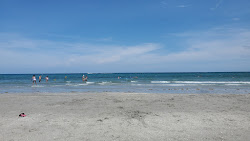Ocean Ridge Hammock Park'in fotoğrafı düz ve uzun ile birlikte
