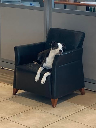 Car Dealer «Mark Sweeney Buick GMC», reviews and photos, 3365 Highland Ave, Cincinnati, OH 45213, USA