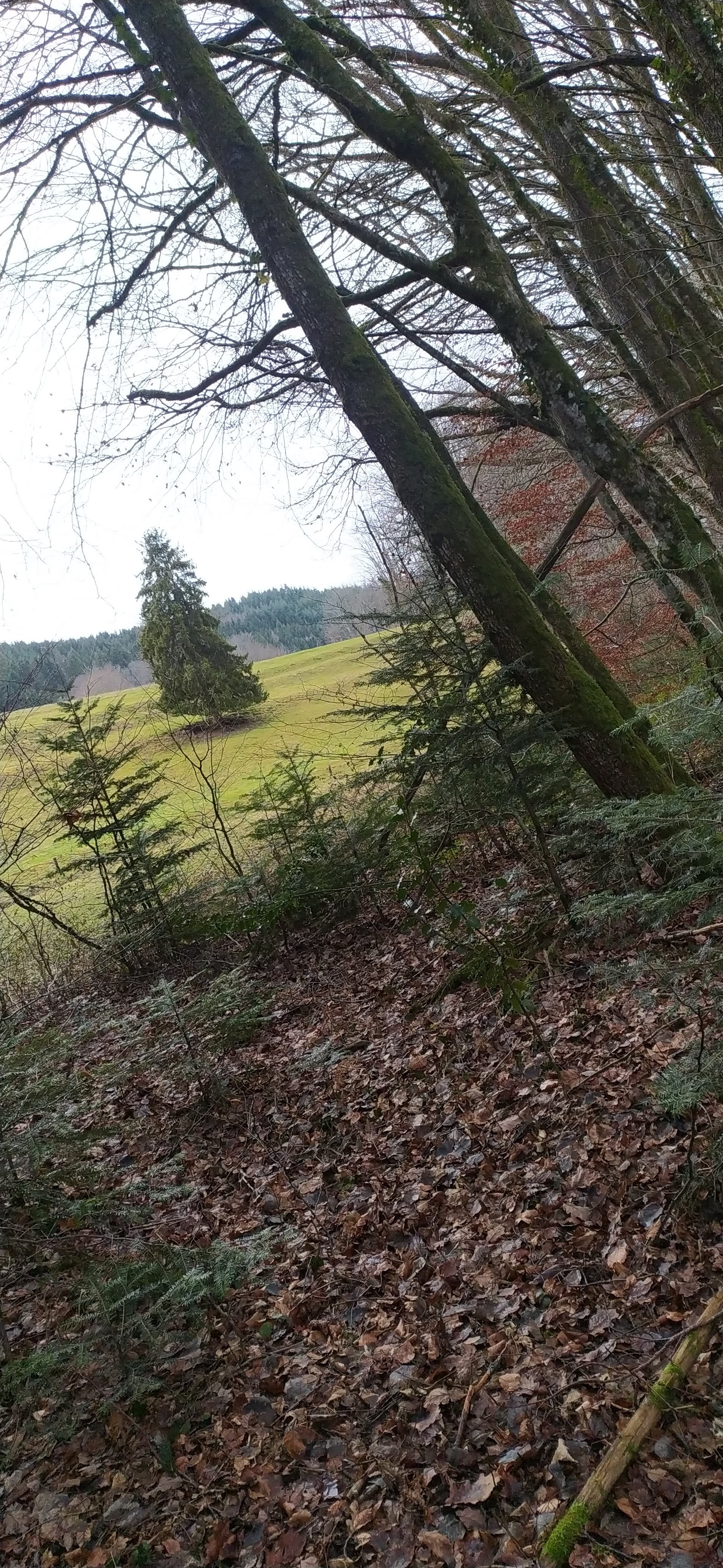 Photo n° 2 de l'avis de Janice.a fait le 03/01/2022 à 10:46