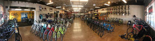 Bike Stop Bicycle Store shop front