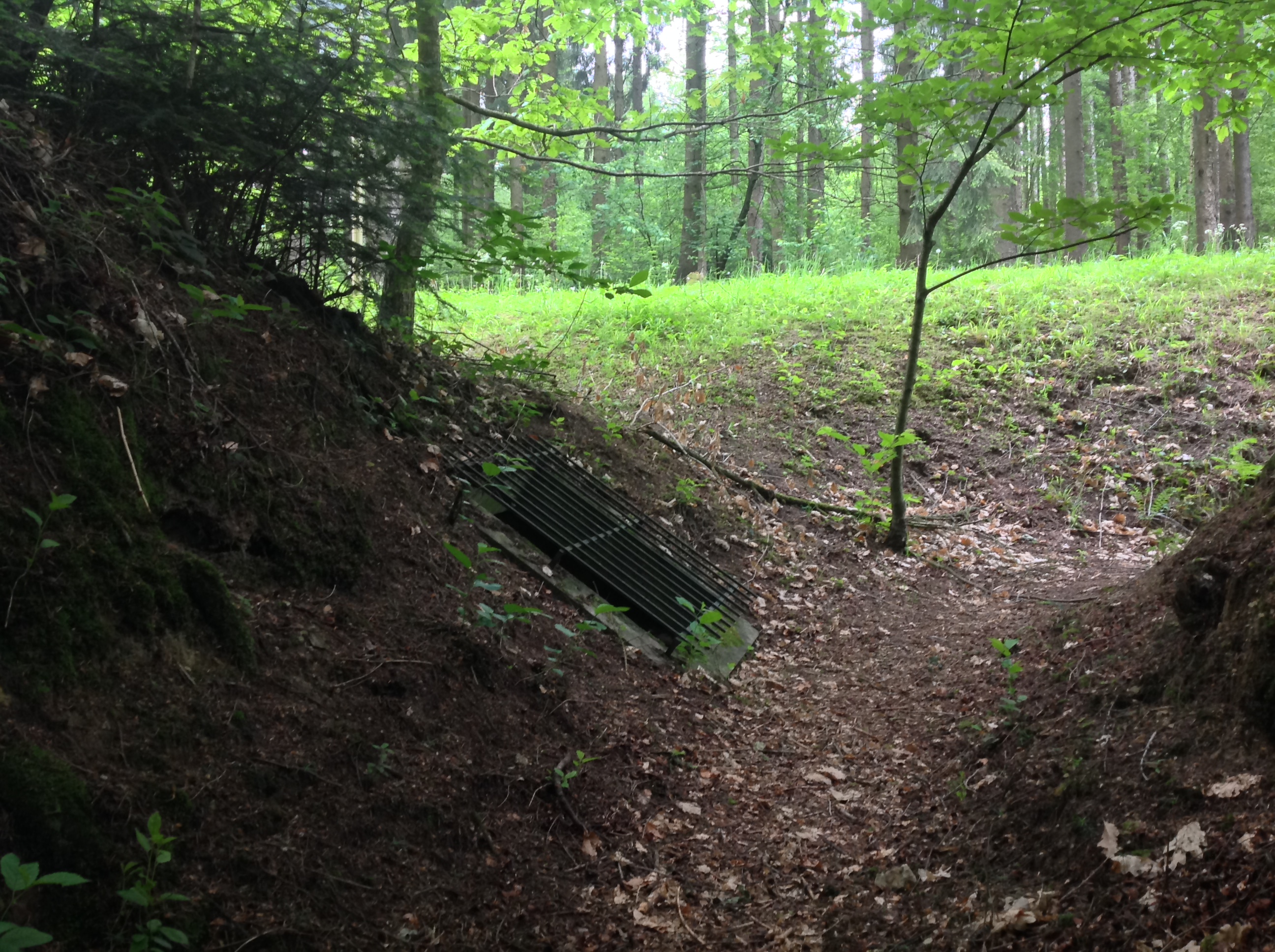 Photo n° 7 de l'avis de David.O fait le 21/05/2019 à 19:07