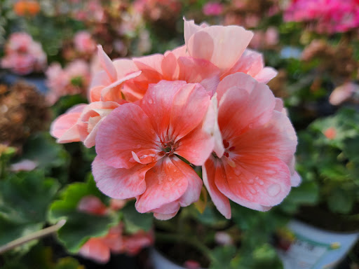 Home Improvement Store «The Home Depot», reviews and photos, 128 Bulverde Crossing, Bulverde, TX 78163, USA