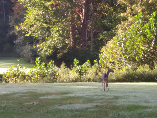 Golf Club «Aston Oaks Golf Club», reviews and photos, 1 Aston Oaks Dr, North Bend, OH 45052, USA