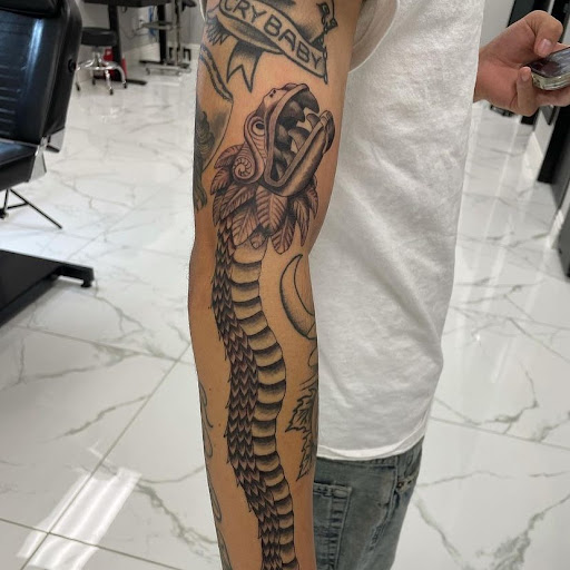 Book Store «Trents Bookshelf», reviews and photos, 8139 Elk Grove Blvd, Elk Grove, CA 95758, USA