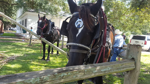 Museum «West Baton Rouge Museum», reviews and photos, 845 N Jefferson Ave, Port Allen, LA 70767, USA