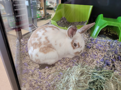 Pet Supply Store «Petco Animal Supplies», reviews and photos, 22000 Dulles Retail Plaza #110, Sterling, VA 20166, USA
