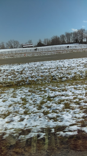 Auto Repair Shop «S&S Body Shop and Mechanical», reviews and photos, 15128 George Washington Memorial Hwy, Saluda, VA 23149, USA