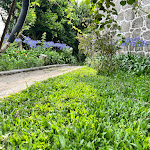 Photo n°29 de l'avis de victor.i fait le 13/07/2022 à 13:20 sur le  ICH Inveja Country House à Penamaior