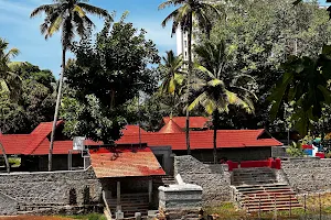 Thrippadapuram Temple Pond image