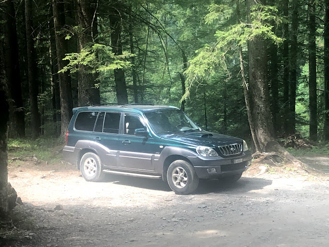 Rezensionen über Agathe’s Taxi 4x4 in Thun - Taxiunternehmen