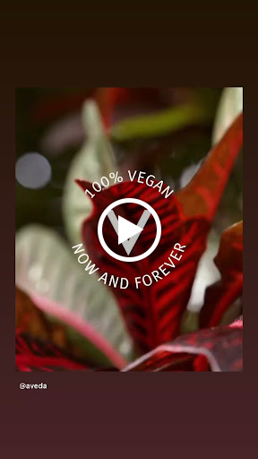 Hair Salon «Aeracura Aveda Concept Salon», reviews and photos, 101 Reynolda Village, Winston-Salem, NC 27106, USA