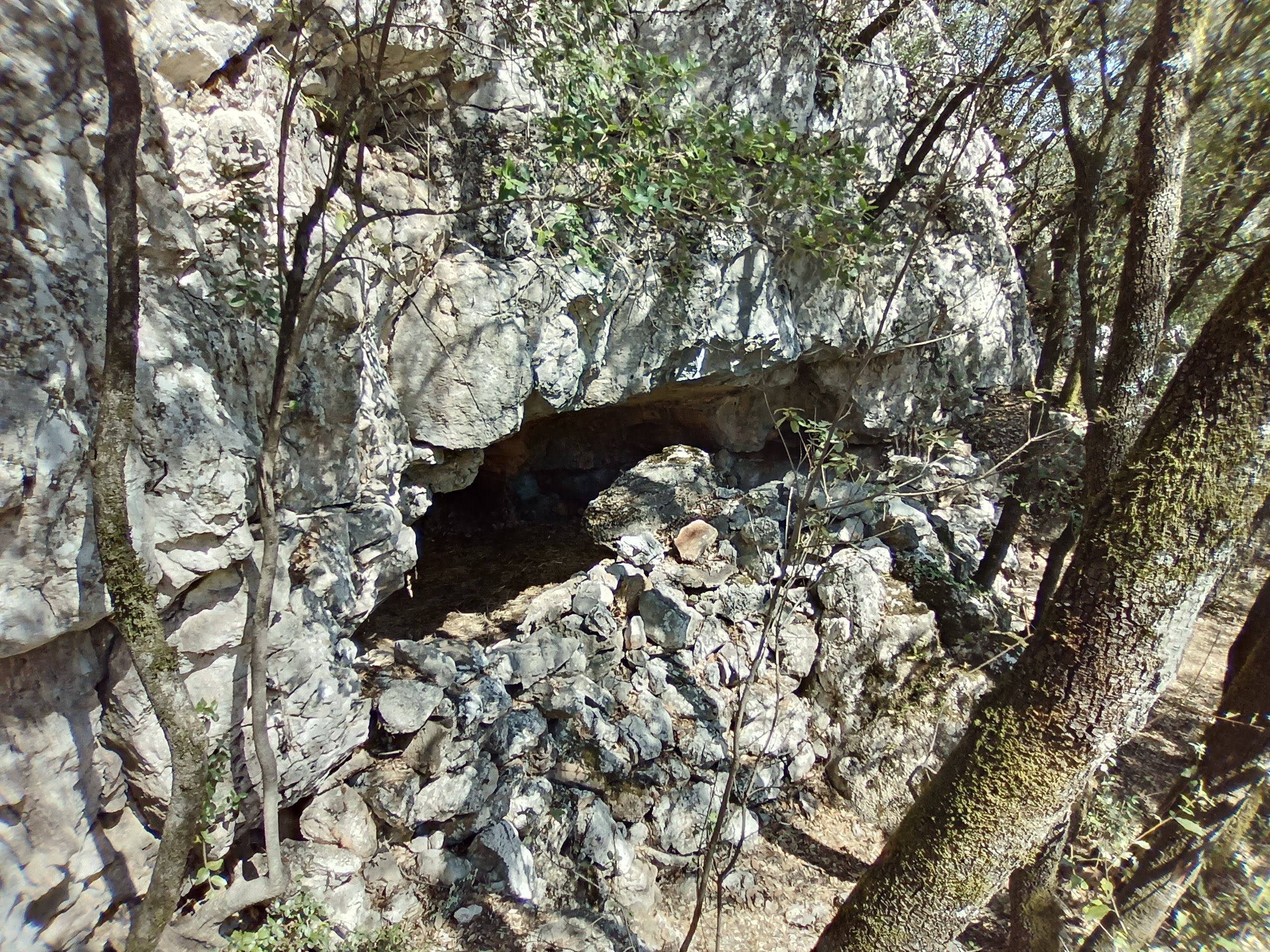 Photo n° 19 de l'avis de Abalone.R fait le 03/08/2019 à 20:27