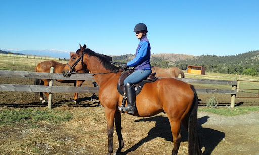 Subaru Dealer «Neil Huffman Subaru», reviews and photos, 4916 Dixie Hwy, Louisville, KY 40216, USA