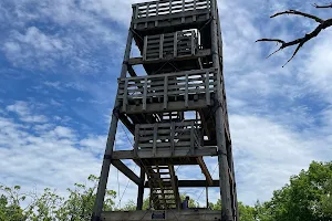 Lapham Peak Observation Tower image