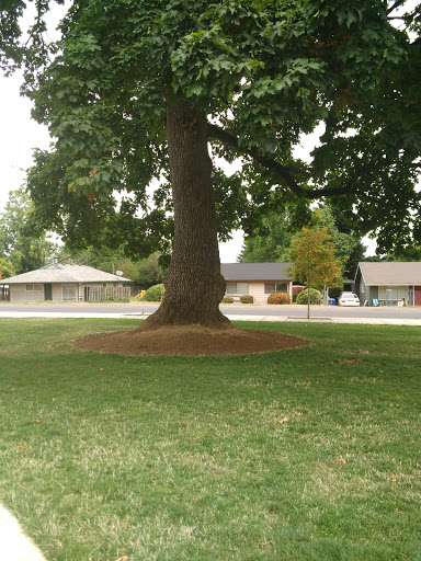 Park «Khunamokwst Park», reviews and photos, 5200 NE Alberta St, Portland, OR 97218, USA