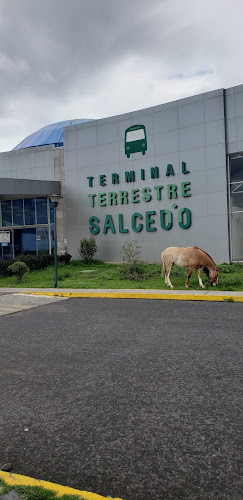 Opiniones de Empresa Pública De Movilidad Cotopaxi en Salcedo - Oficina de empresa