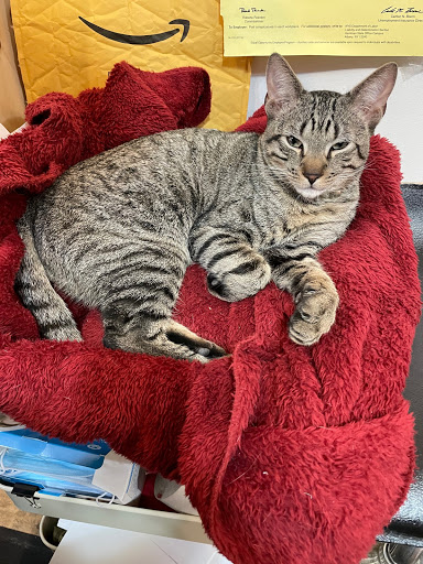 Wine Store «Cabrini Wines & Liquors», reviews and photos, 91 Pinehurst Ave, New York, NY 10033, USA