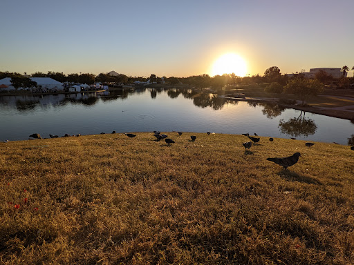 City Park «Steele Indian School Park», reviews and photos, 300 E Indian School Rd, Phoenix, AZ 85012, USA