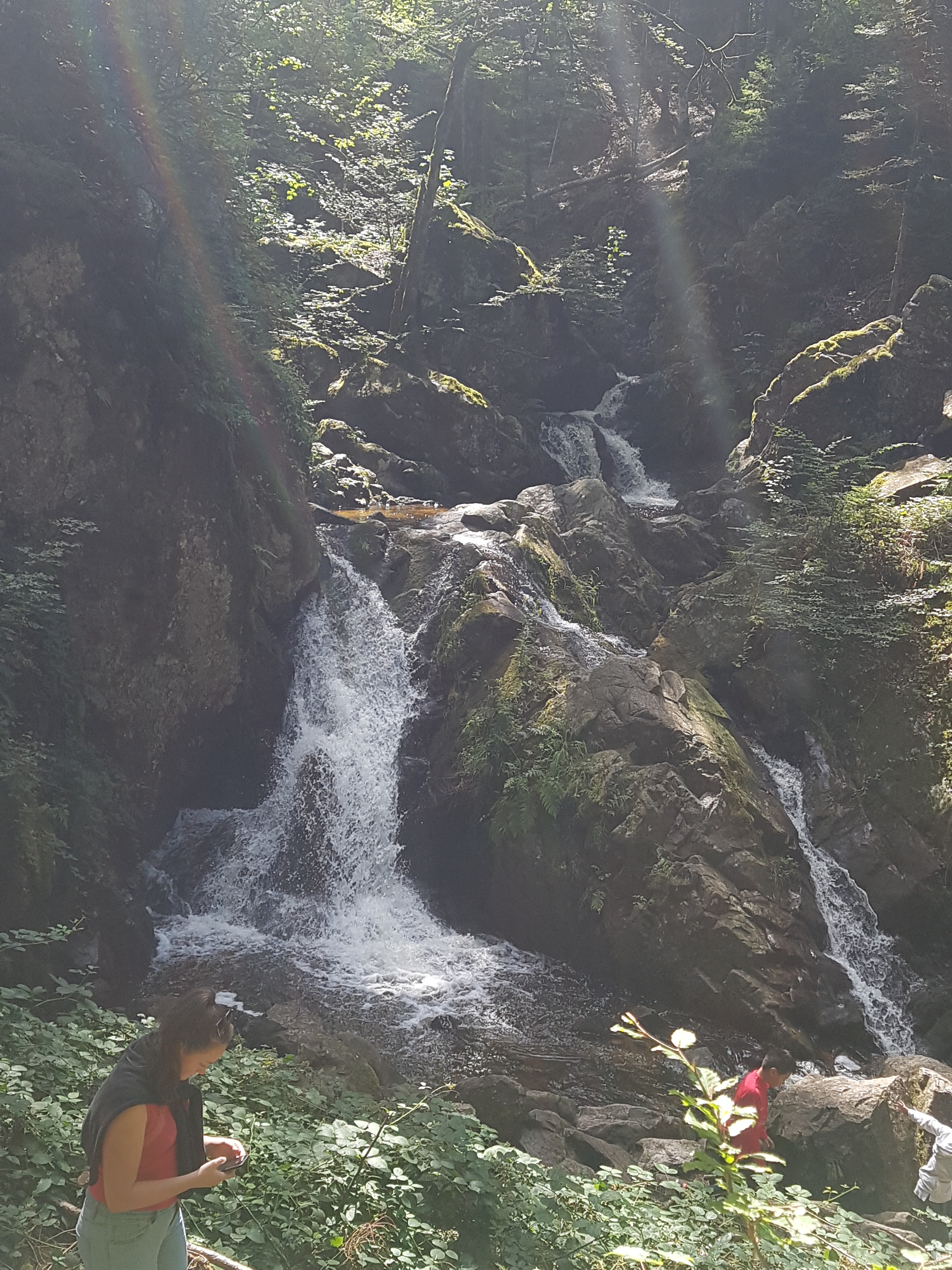 Photo n° 1 de l'avis de melanie_et.c fait le 12/08/2019 à 14:24
