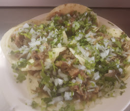 Taqueria Marina photo