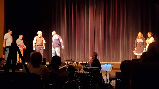 Performing Arts Theater «The Schwartz Center for the Arts», reviews and photos, 226 S State St, Dover, DE 19901, USA