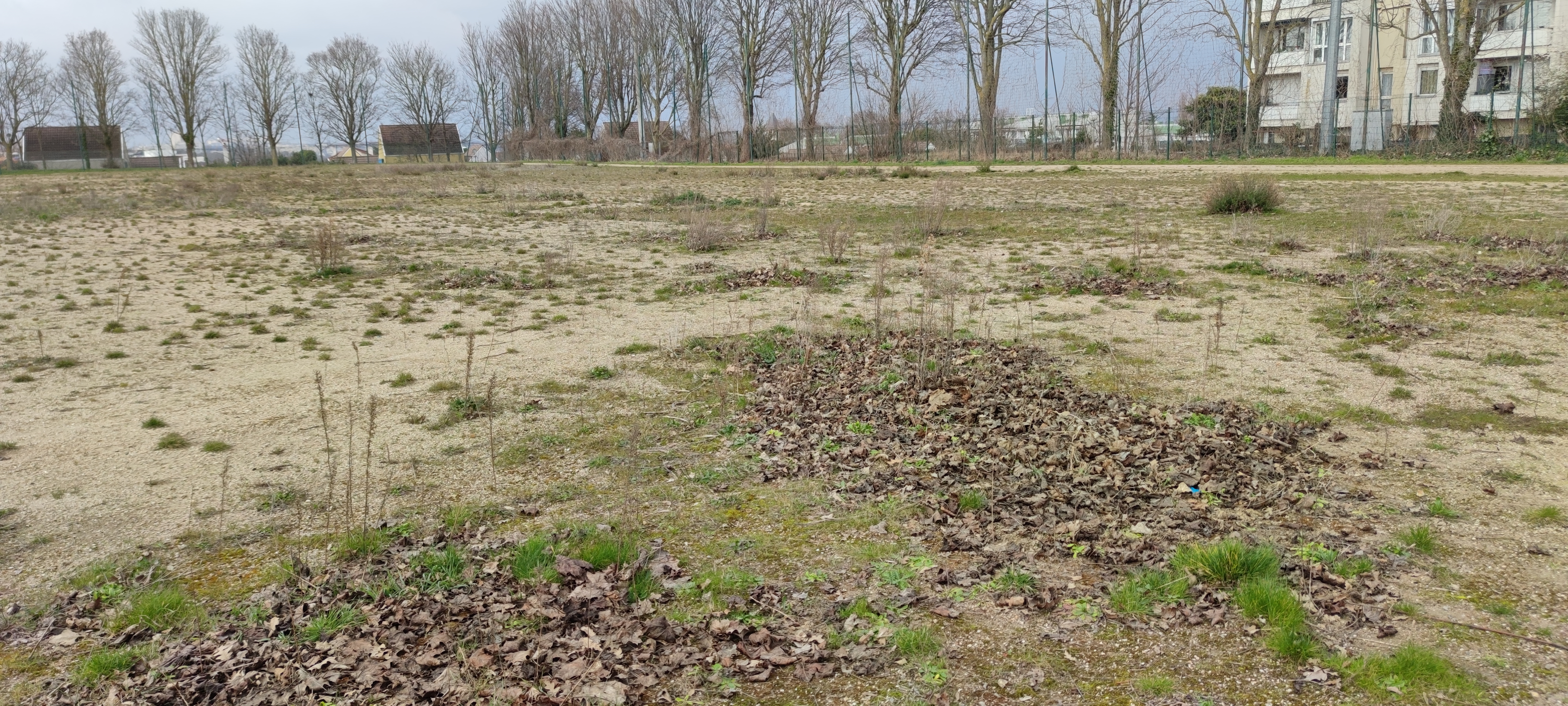Photo n° 3 de l'avis de Abcde94.b fait le 19/04/2022 à 00:22