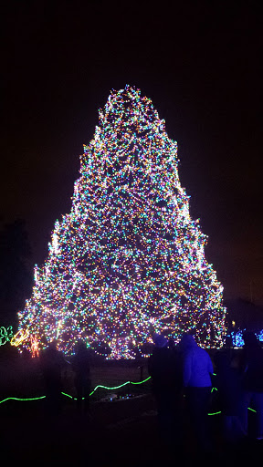 Amphitheater «Toledo Zoo Amphitheater», reviews and photos, 2700 Broadway St, Toledo, OH 43609, USA