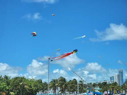 Park «Haulover Park», reviews and photos, 10800 Collins Ave, Miami Beach, FL 33154, USA