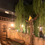 Photo n°15 de l'avis de Roberto.i fait le 20/10/2020 à 13:24 sur le  Pirates'Bay Restaurant - Olgiate Olona (VA) à Olgiate Olona