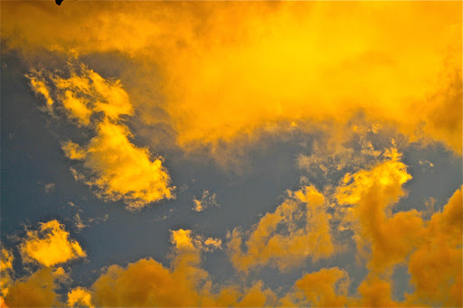 Surf Shop «Surf The Earth», reviews and photos, 47 Da Gullah Way, Pawleys Island, SC 29585, USA